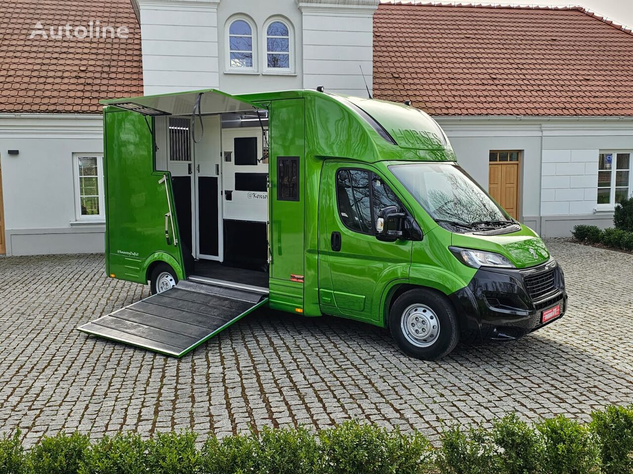 pengangkut kuda Peugeot Boxer