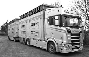 truk pengangkut hewan Scania S650 for cattle - do zwierzat + trailer pengangkut ternak